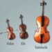 Orchestre à cordes avec violon, alto et violoncelle