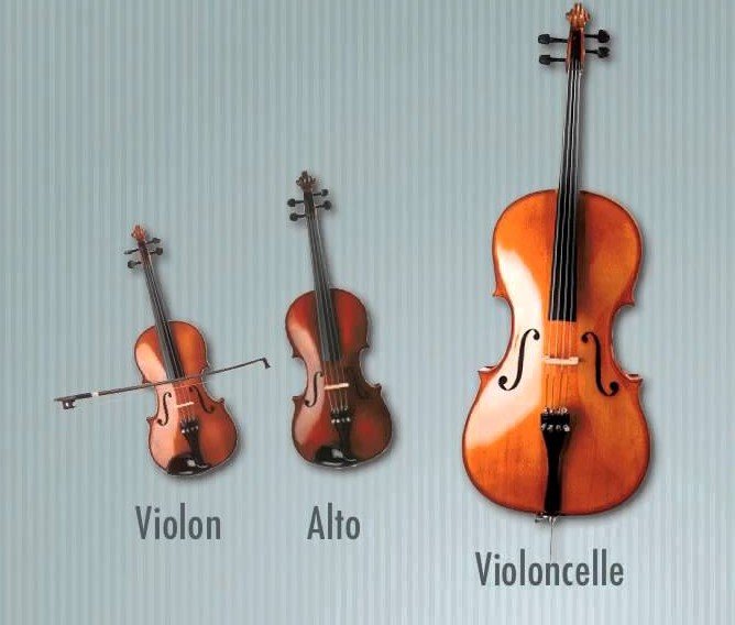 Orchestre à cordes avec violon, alto et violoncelle