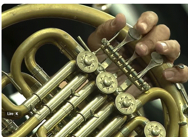 Cor d’harmonie dans l’orchestre